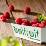 UNIFRUIT®: UNIPAKHELLAS Eco-friendly Corrugated Punnets and trays, for Sustainable Fresh Produce Packaging